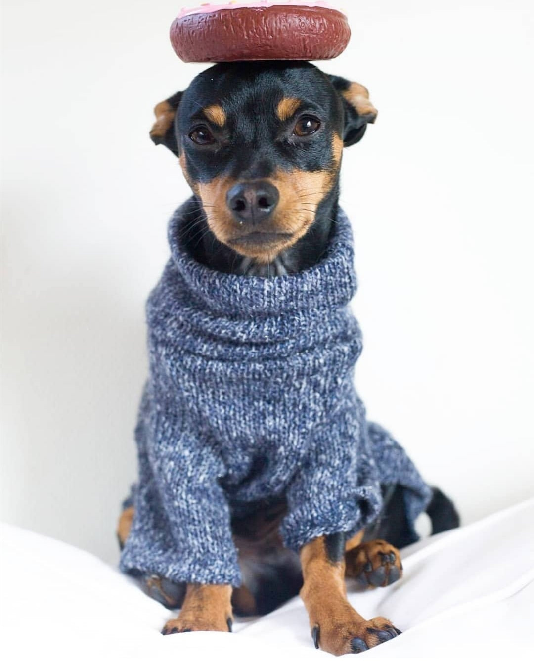Sweater Blue - La Recova de León